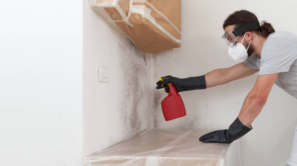 Professional Bathroom Mold Removal technician working in Hastings, MI