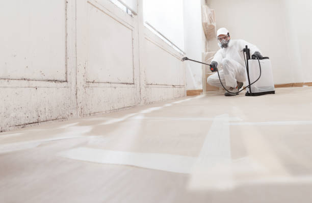 24/7 Emergency Bathroom Mold Removal experts in Hastings, MI
